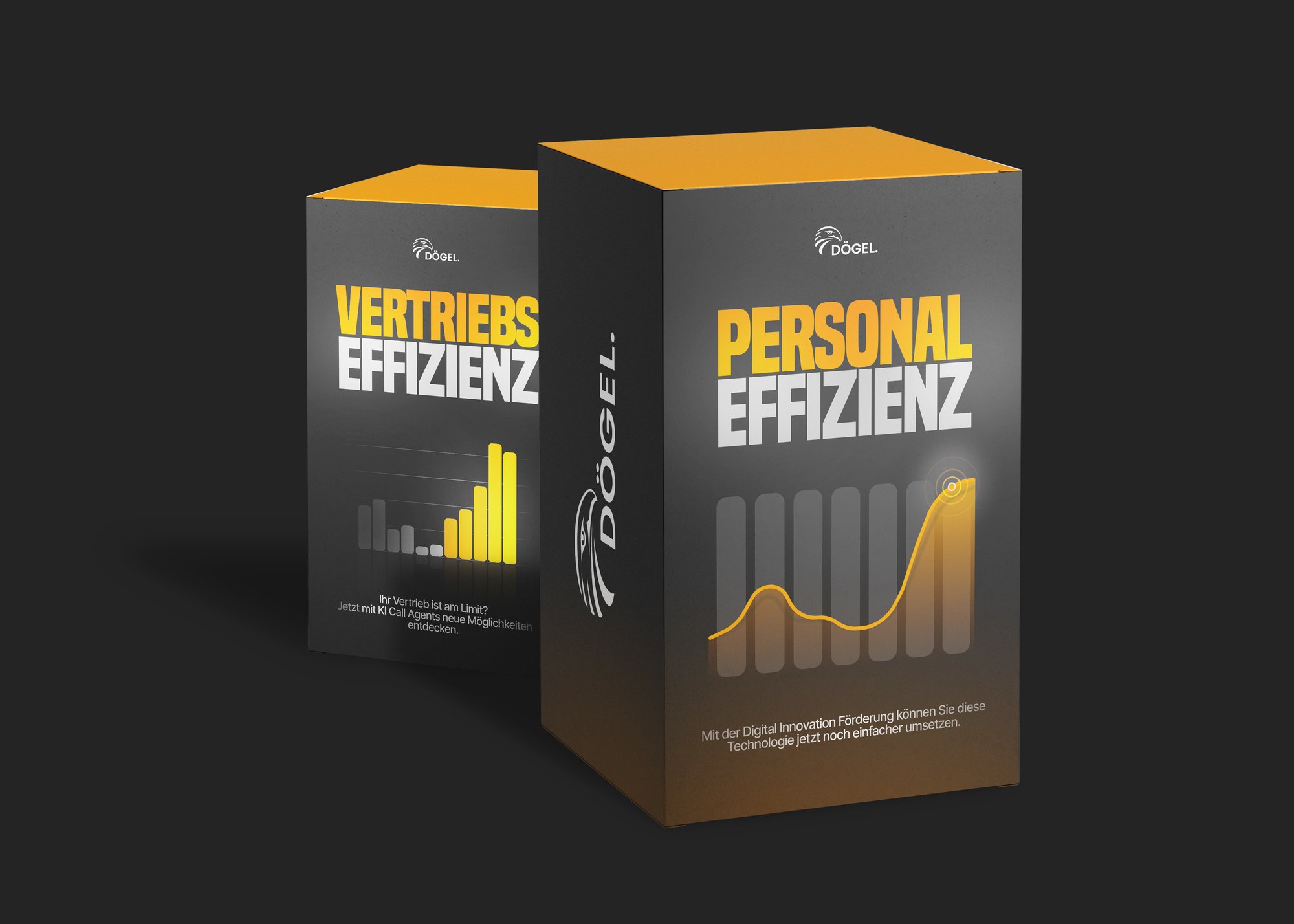 Doegel_Personal_Vertriebseffizienz_Box